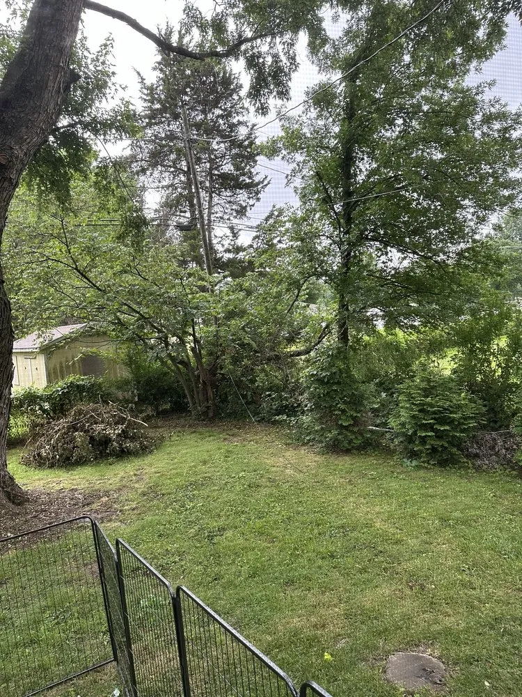 Reliable landscape design experts serving Springfield, MO - Dans Top Notch Mowing & Pressure Washing