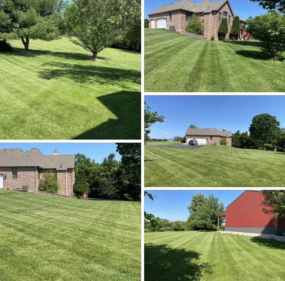 Trusted yard cleanup service for homes across Springfield, MO - Dans Top Notch Mowing & Pressure Washing