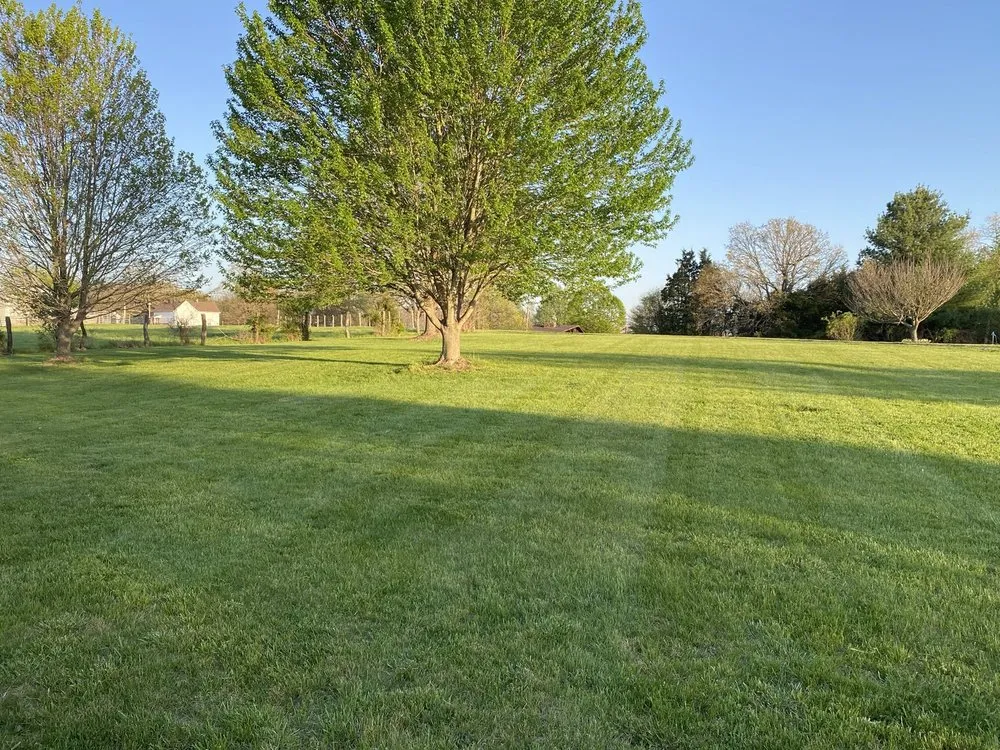 Local yard maintenance in Springfield, MO by Dans Top Notch Mowing & Pressure Washing