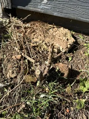 Dans Top Notch Mowing & Pressure Washing