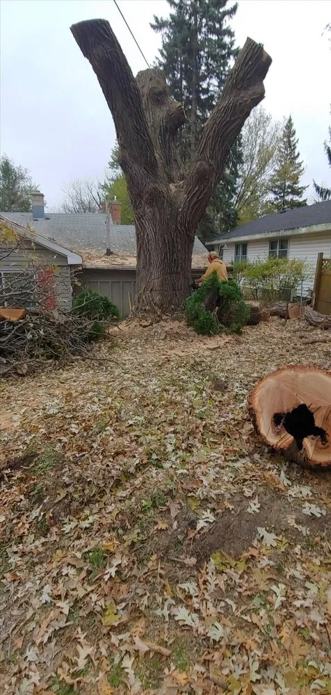 Professional lawn mowing service in Helenville, WI by Dan's Tree & Landscaping