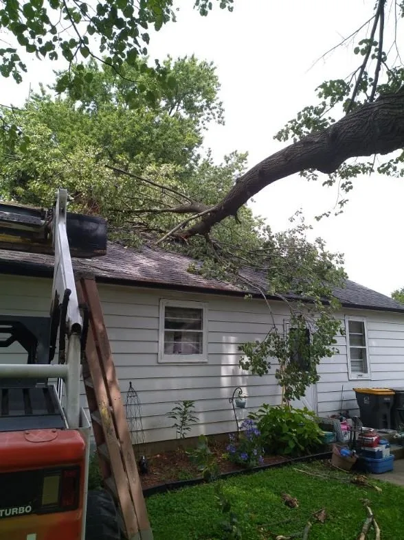 Top-rated yard maintenance in Helenville, WI by Dan's Tree & Landscaping