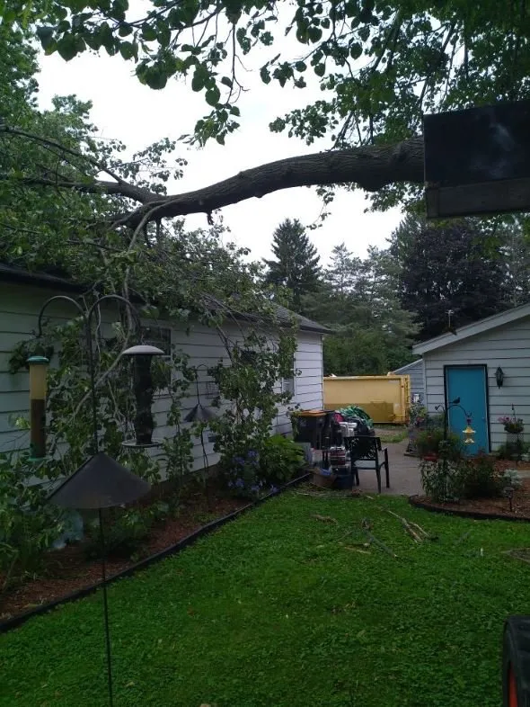 Local landscaping services for year-round maintenance in Helenville, WI by Dan's Tree & Landscaping