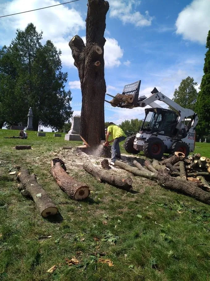 Custom yard maintenance in Helenville, WI by Dan's Tree & Landscaping
