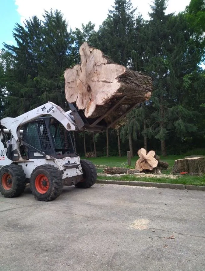 Expert landscape design in Helenville, WI - Dan's Tree & Landscaping
