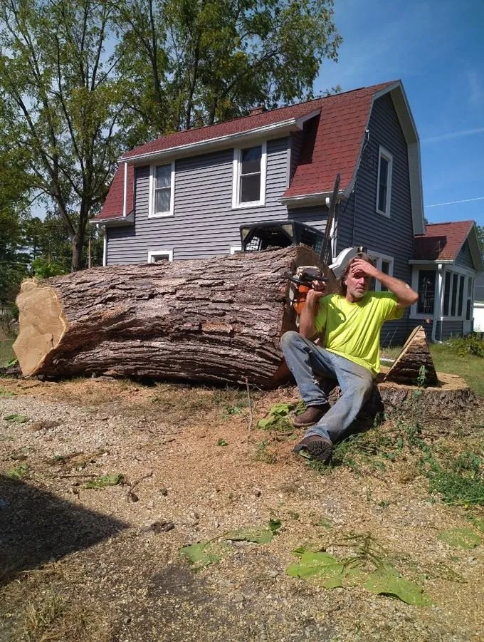 Local landscaping services in Helenville, WI by Dan's Tree & Landscaping