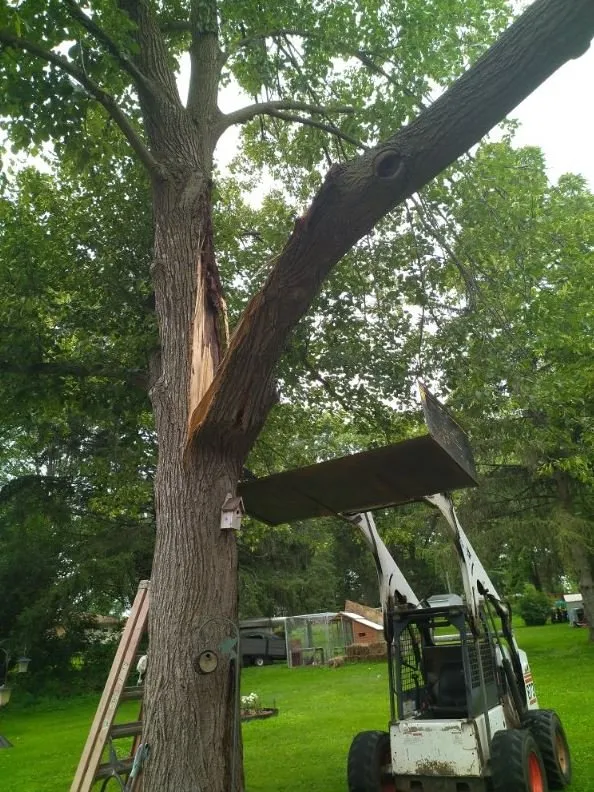 Custom landscaping services experts serving Helenville, WI - Dan's Tree & Landscaping