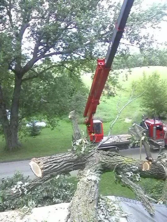 Expert lawn care service in Helenville, WI - Dan's Tree & Landscaping