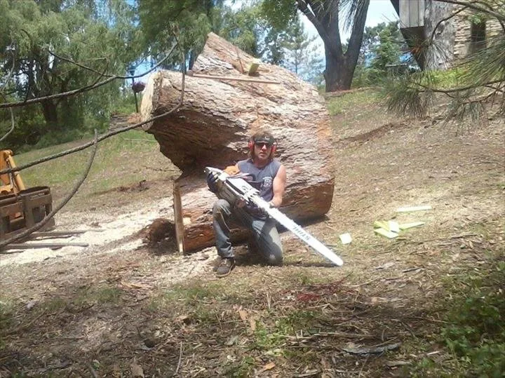 Custom garden landscaping for year-round maintenance across Helenville, WI - Dan's Tree & Landscaping
