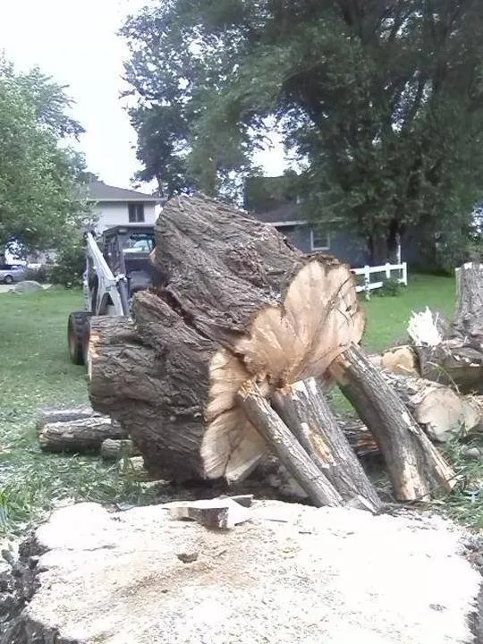 Local lawn care service in Helenville, WI - Dan's Tree & Landscaping