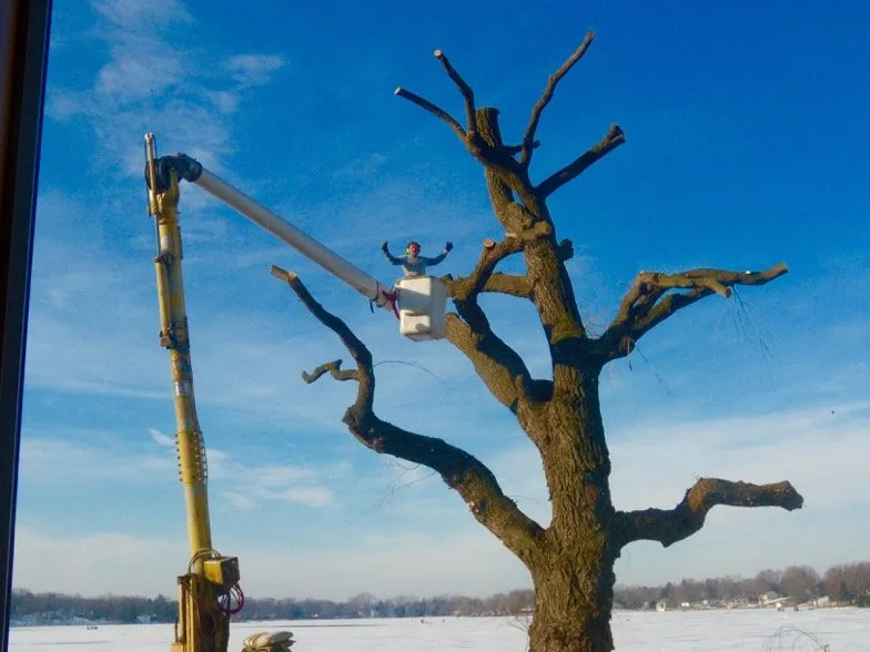 Affordable landscape installation experts serving Helenville, WI - Dan's Tree & Landscaping