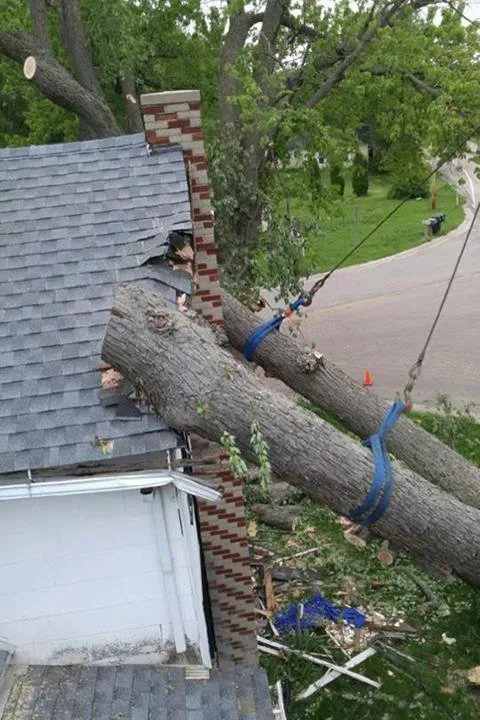 Local residential landscaping in Helenville, WI - Dan's Tree & Landscaping