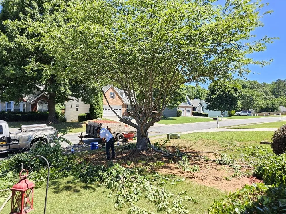 Reliable landscape installation experts serving Woodstock, GA - Dans Tree and Landscaping
