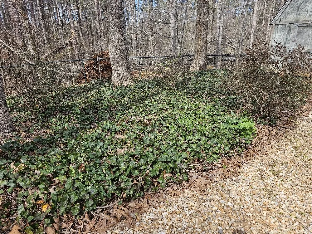 Affordable outdoor landscaping experts serving Woodstock, GA - Dans Tree and Landscaping