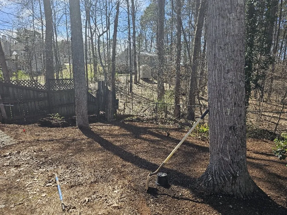 Top-rated landscape installation experts serving Woodstock, GA - Dans Tree and Landscaping