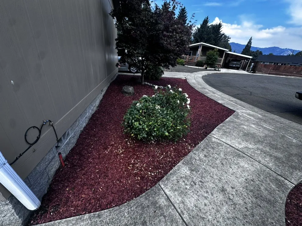 Local residential landscaping in Myrtle Creek, OR by Dan's Tree Removal