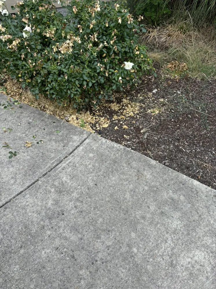 Professional landscape installation for outdoor upgrades across Myrtle Creek, OR - Dan's Tree Removal