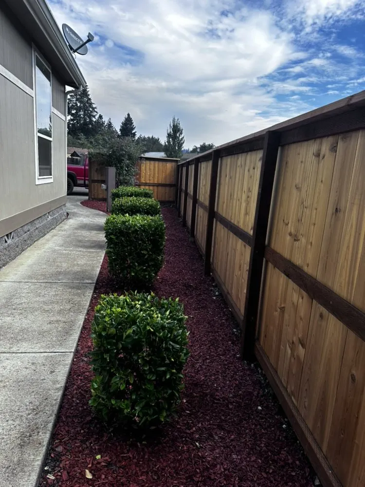 Top-rated residential landscaping in Myrtle Creek, OR - Dan's Tree Removal
