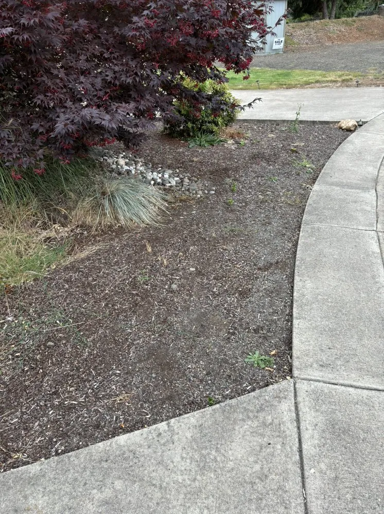 Custom lawn mowing service for beautiful yards in Myrtle Creek, OR by Dan's Tree Removal