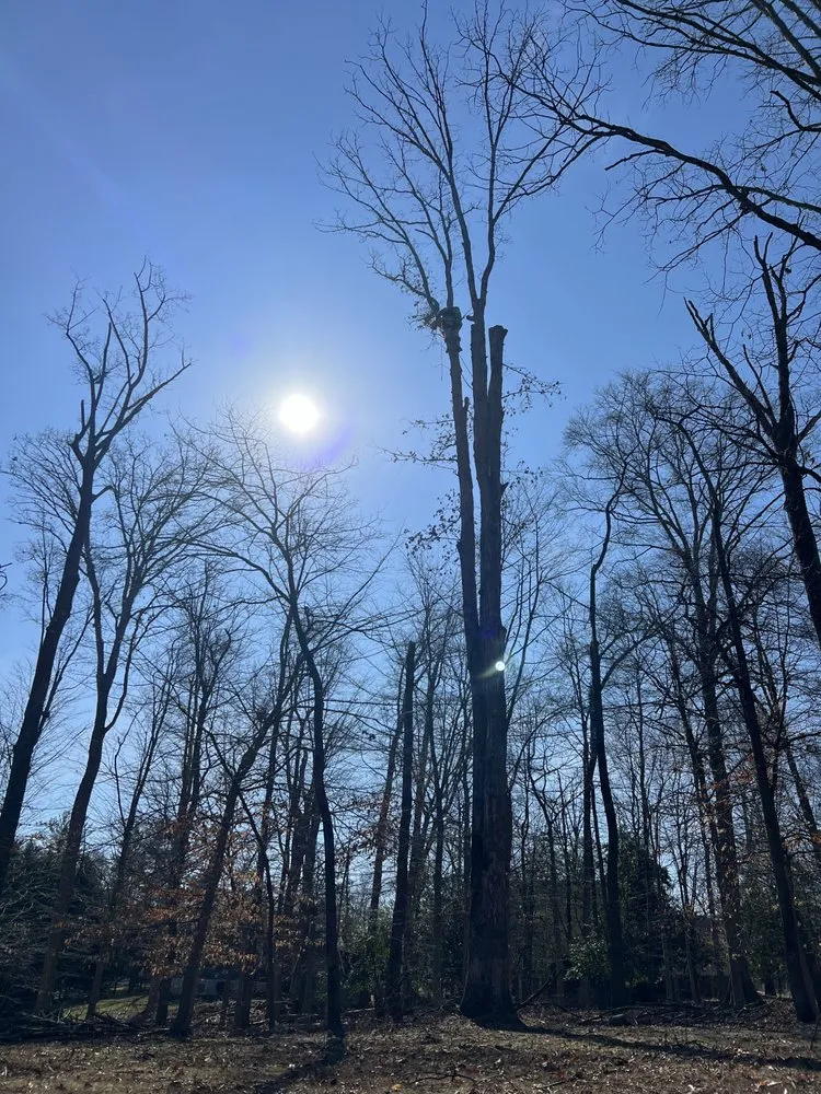 Trusted landscape design for year-round maintenance in Culpeper, VA by Dan's Tree Service & Landscaping