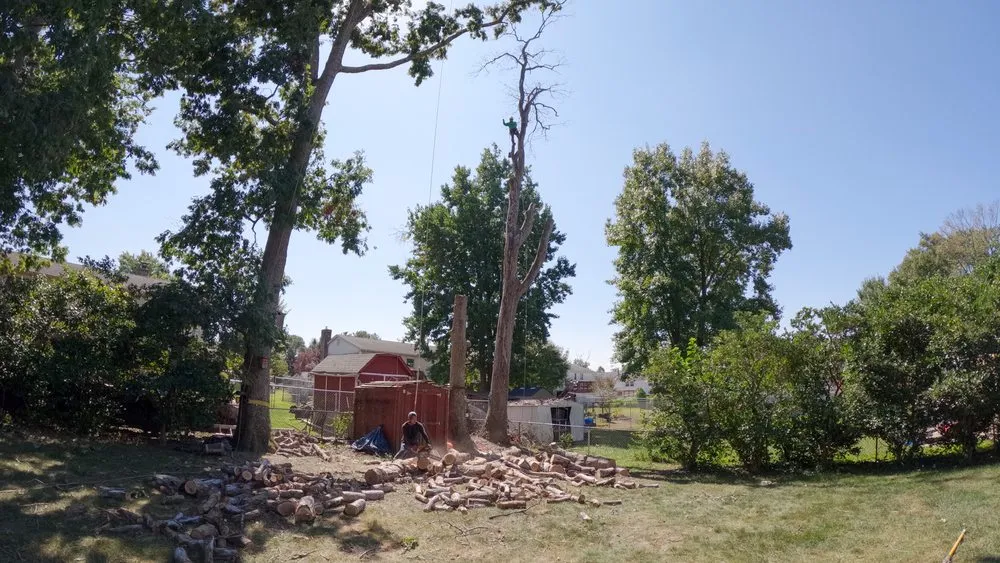 Top-rated residential landscaping experts serving Culpeper, VA - Dan's Tree Service & Landscaping