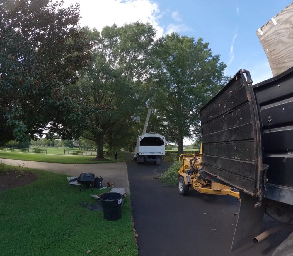 Local yard maintenance in Culpeper, VA by Dan's Tree Service & Landscaping