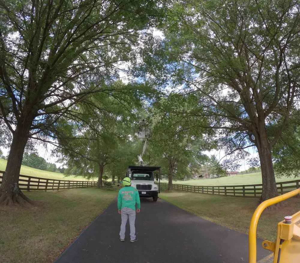 Custom residential landscaping in Culpeper, VA by Dan's Tree Service & Landscaping