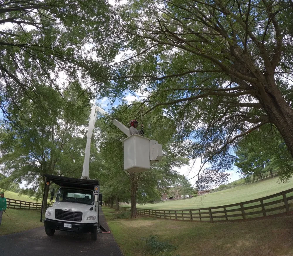 Expert landscaping services experts serving Culpeper, VA - Dan's Tree Service & Landscaping