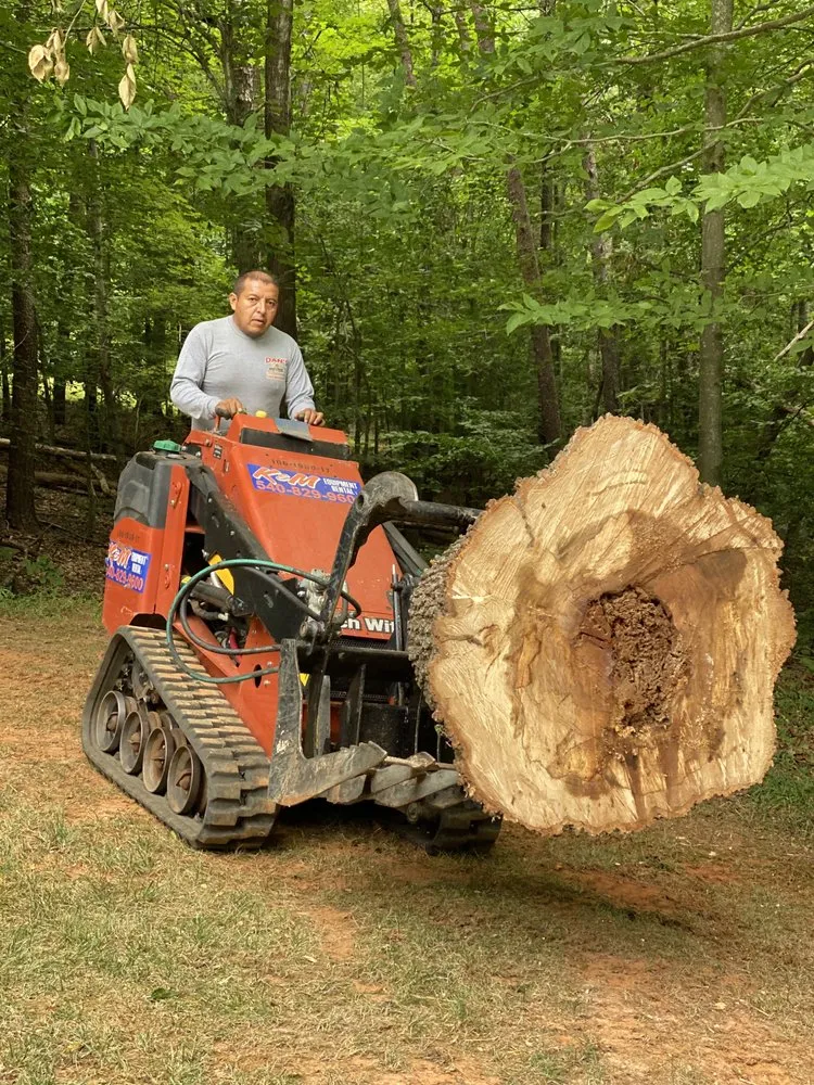 Trusted yard cleanup service in Culpeper, VA by Dan's Tree Service & Landscaping