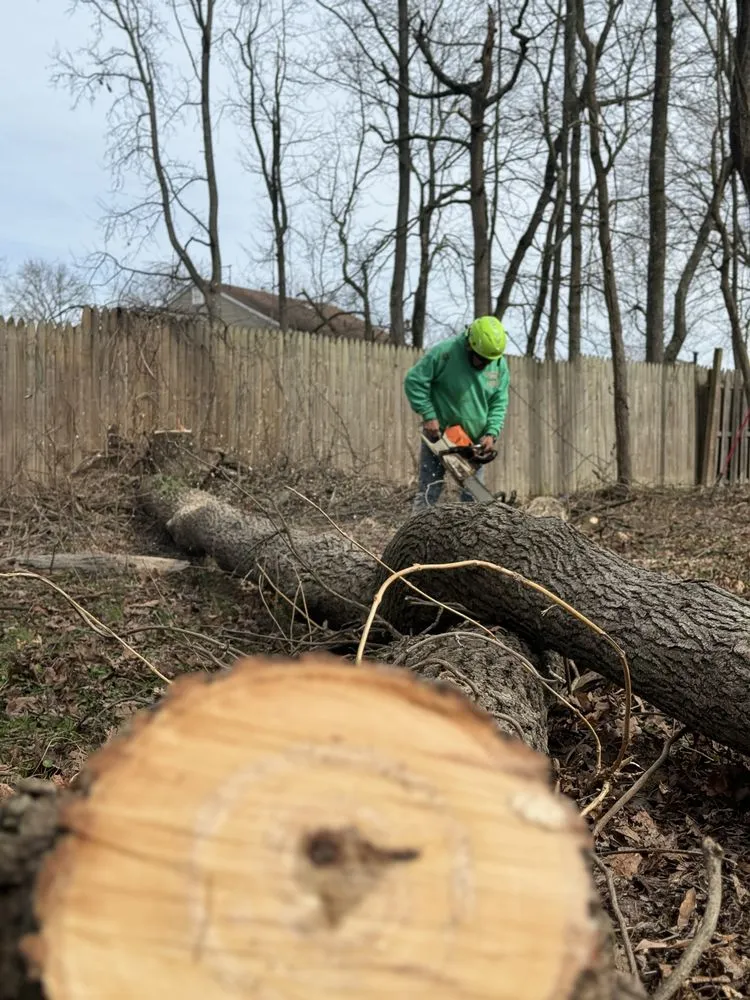 Custom landscape design for year-round maintenance across Culpeper, VA - Dan's Tree Service & Landscaping