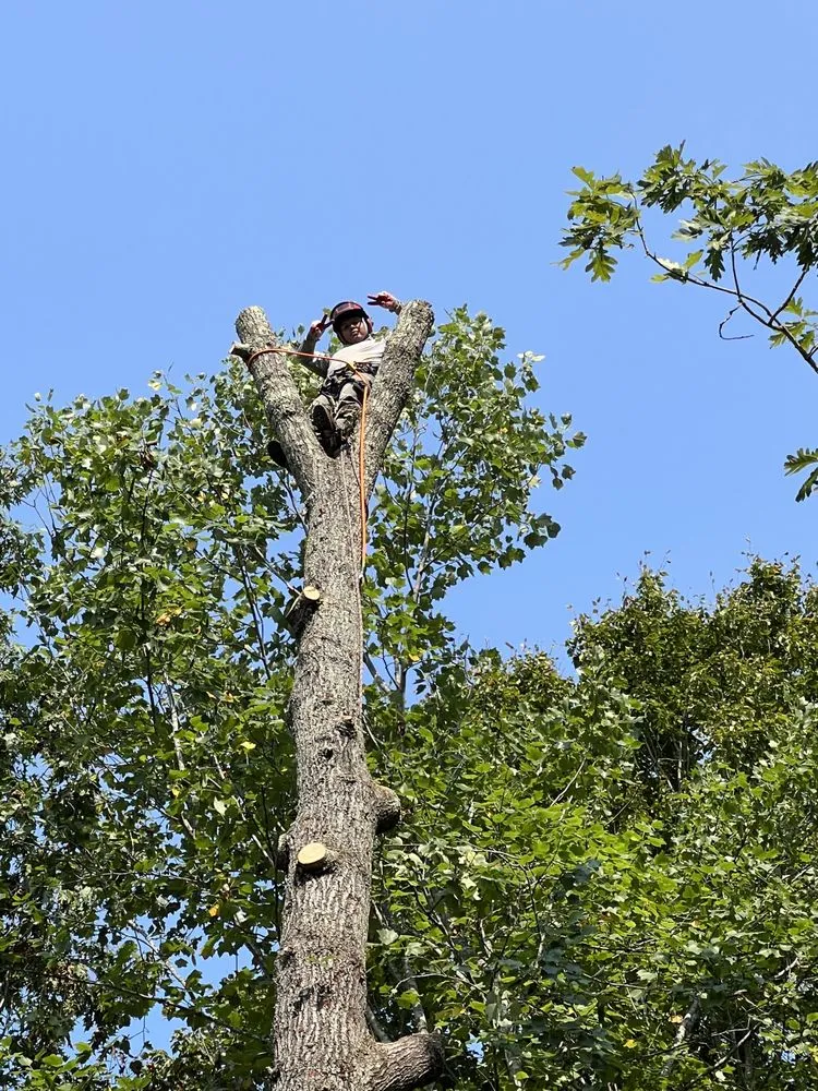Trusted garden landscaping in Culpeper, VA by Dan's Tree Service & Landscaping