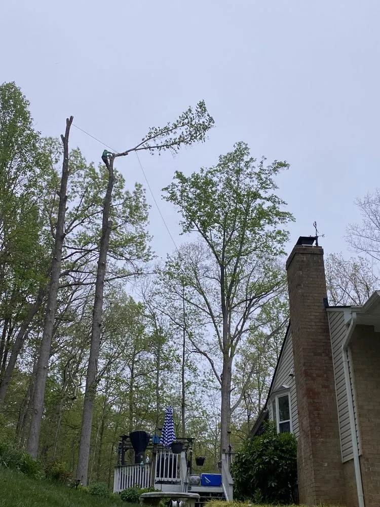 Professional residential landscaping in Culpeper, VA - Dan's Tree Service & Landscaping