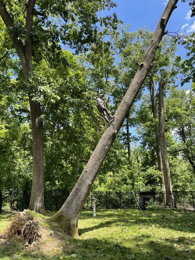 Trusted outdoor landscaping for outdoor upgrades across Culpeper, VA - Dan's Tree Service & Landscaping