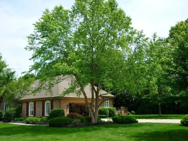 Trusted outdoor landscaping for year-round maintenance across New Berlin, WI - Dan's Tree Service
