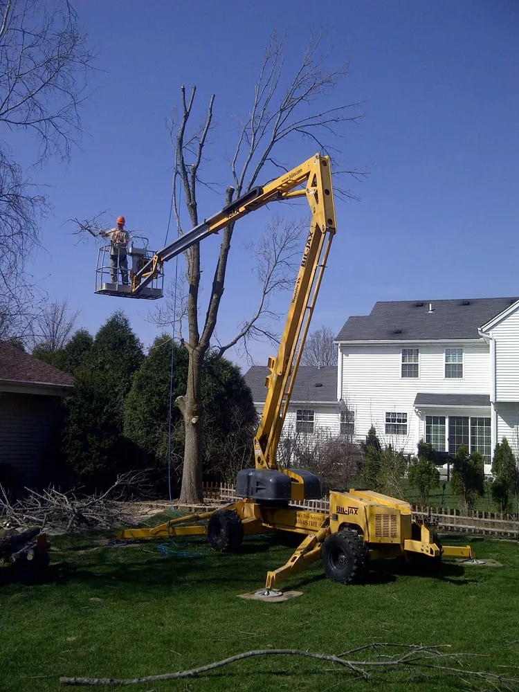 Professional landscaping services for beautiful yards across New Berlin, WI - Dan's Tree Service