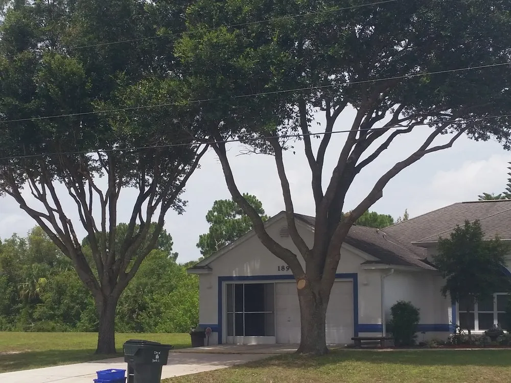 Reliable lawn care service experts serving Venice, FL - Dan's Tree Service