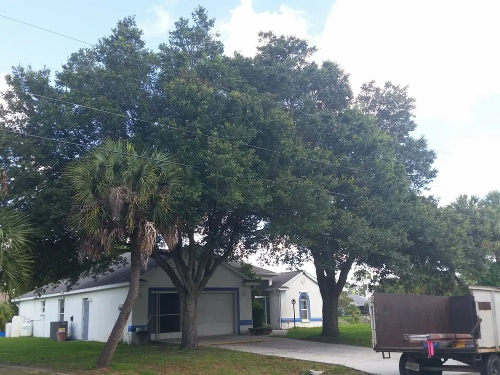 Trusted landscape design in Venice, FL - Dan's Tree Service
