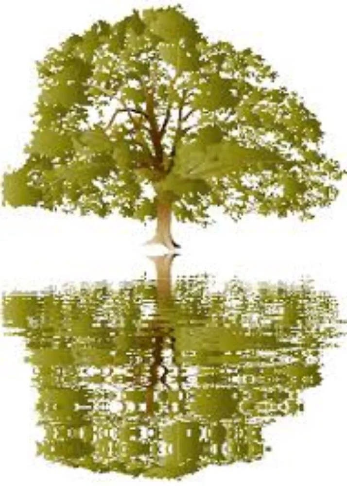 Reliable landscaping services in Venice, FL - Dan's Tree Service