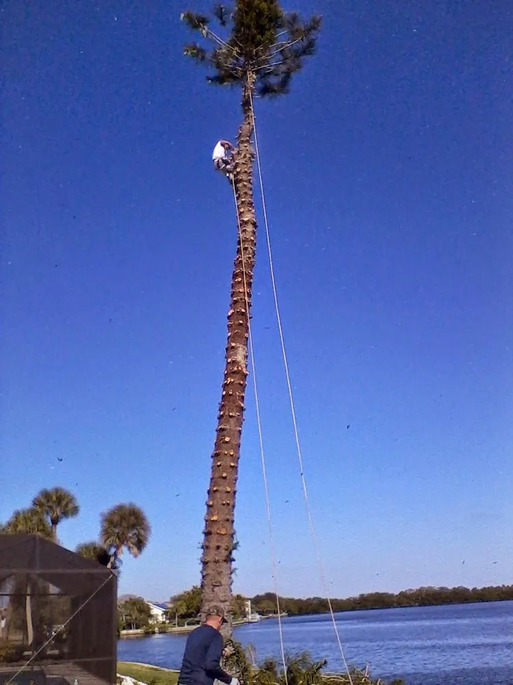 Reliable outdoor landscaping for homes in Venice, FL by Dan's Tree Service