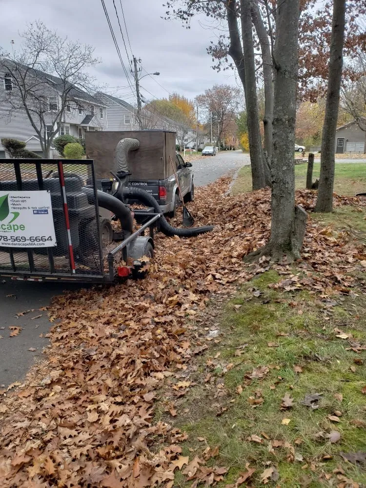 Reliable yard cleanup service for residential properties in Haverhill, MA by Danscape Property Maintenance