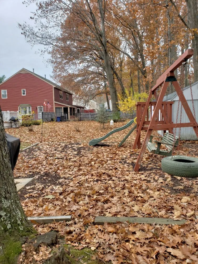 Professional outdoor landscaping experts serving Haverhill, MA - Danscape Property Maintenance