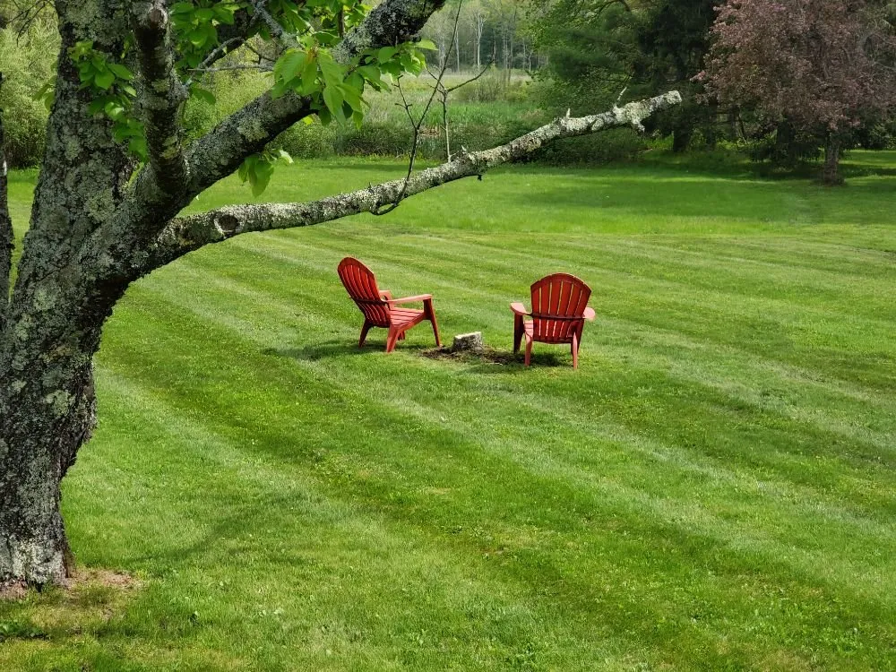 Custom landscaping services experts serving Haverhill, MA - Danscape Property Maintenance