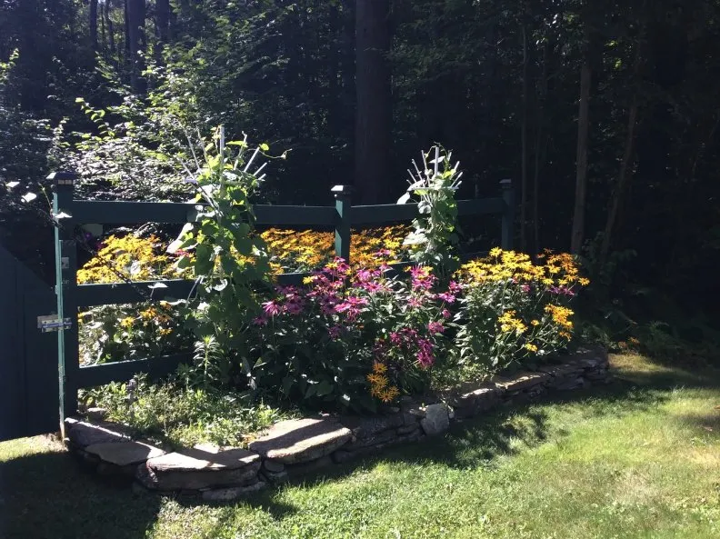 Local landscape design in Palatka, FL by Danscapes