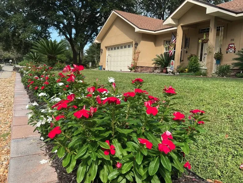 Professional landscaping services in Palatka, FL by Danscapes