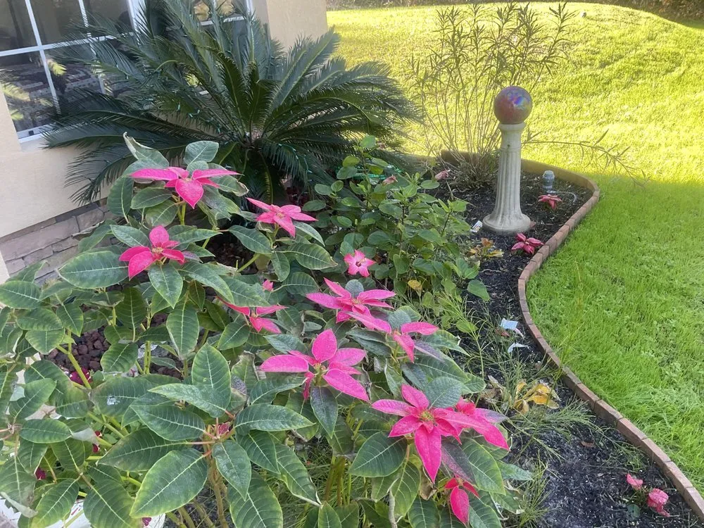 Professional yard maintenance for year-round maintenance across Palatka, FL - Danscapes