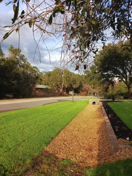 Professional lawn care service for homes across Palatka, FL - Danscapes