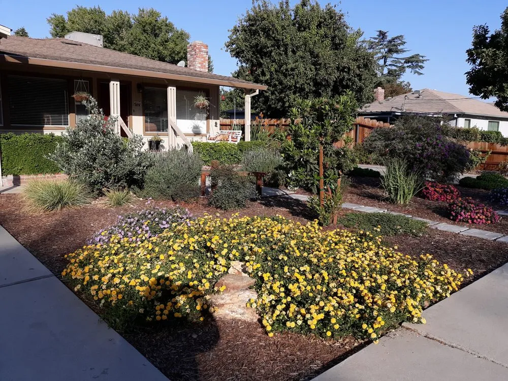Local yard maintenance with custom design across Turlock, CA - Danscaping and Garden