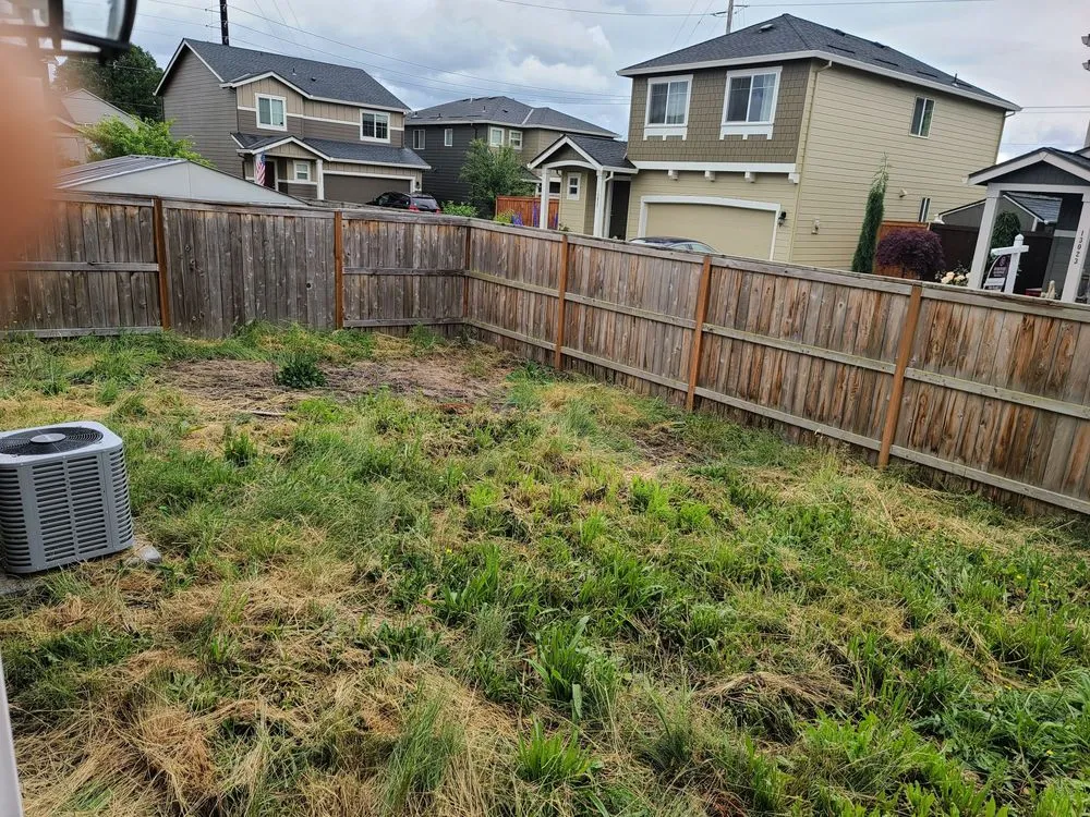 Professional yard maintenance for year-round maintenance across Vancouver, WA - Danshap Landscaping