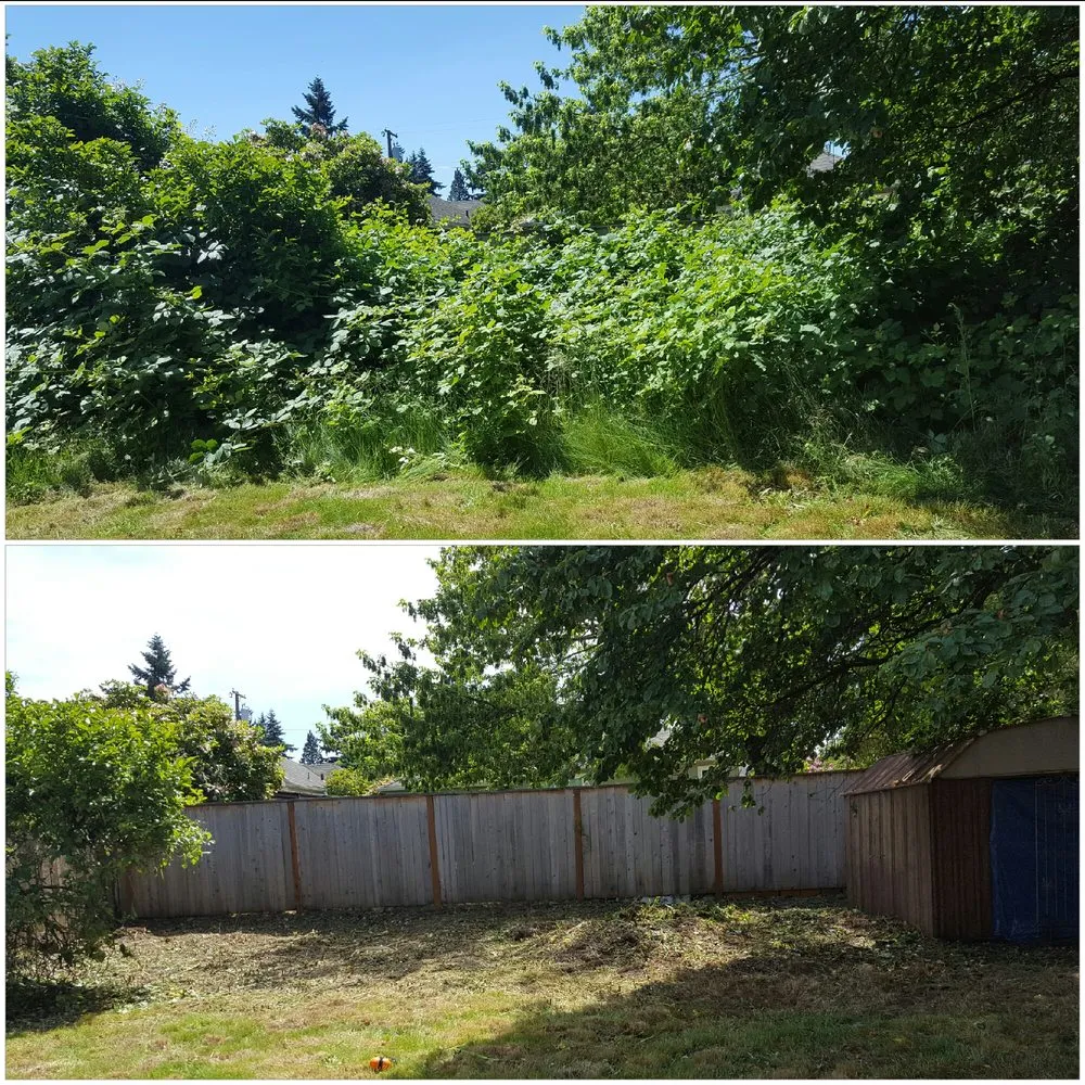 Reliable landscaping services experts serving Vancouver, WA - Danshap Landscaping