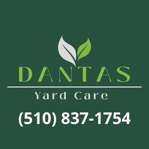 Expert lawn mowing service with custom design in Pinole, CA by Dantas Yard Care